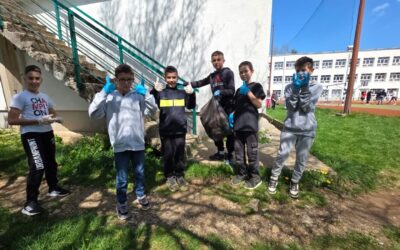 Zelena čistka: Mali koraci za veliku promjenu